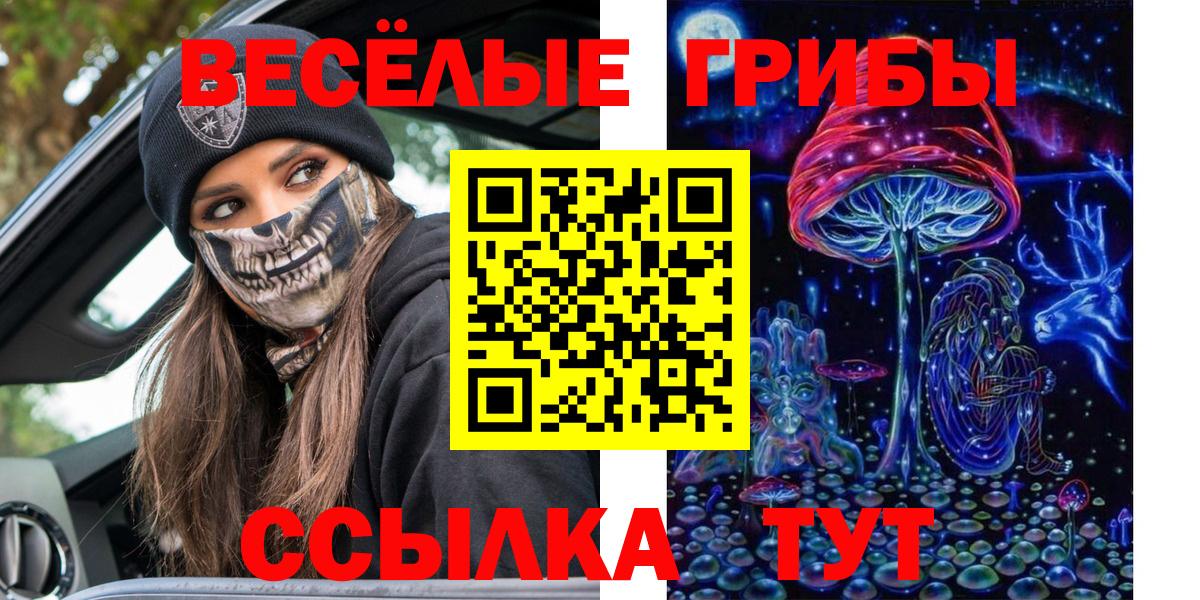 Топки  Псилоцибиновые грибы прущие грибы  магазин продажи   Вход с VPN  Галлюциногенные грибы мицелий 